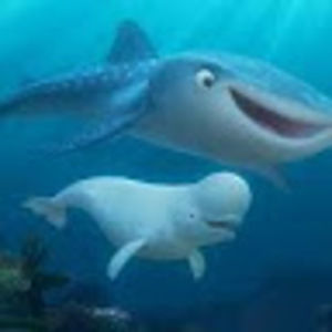 Meet your Posher, Aubree